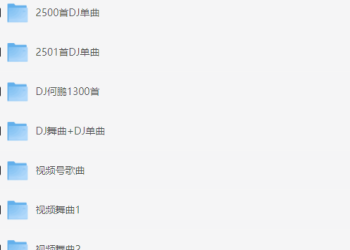 2025车载dj合集