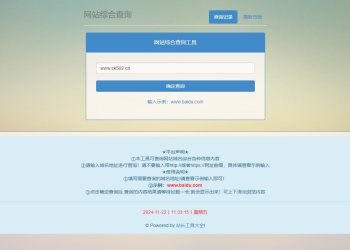 网站站长综合seo查询工具网站源码