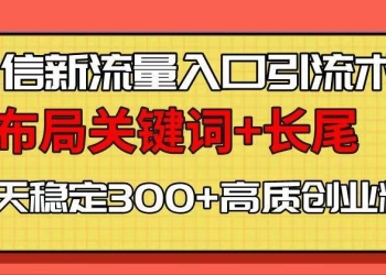 微信新流量入口引流术，布局关键词+长尾，每天稳定300+高质创业粉