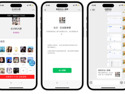 付费进群数据大屏开源二开版系统