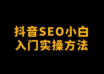 公众号SEO、抖音SEO，我去你妈的