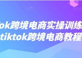 TikTok跨境电商实操训练营，tiktok跨境电商教程