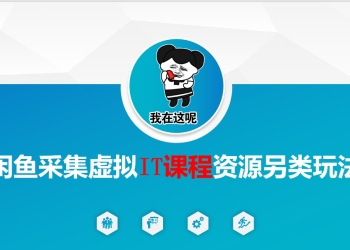 闲鱼采集虚拟IT课程资源另类玩法