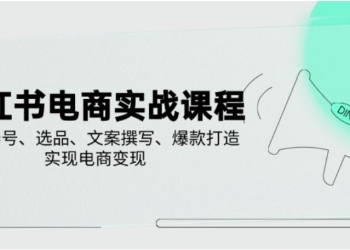 小红书电商实战课程，详解养号、选品、文案撰写、爆款打造，实现电商变现