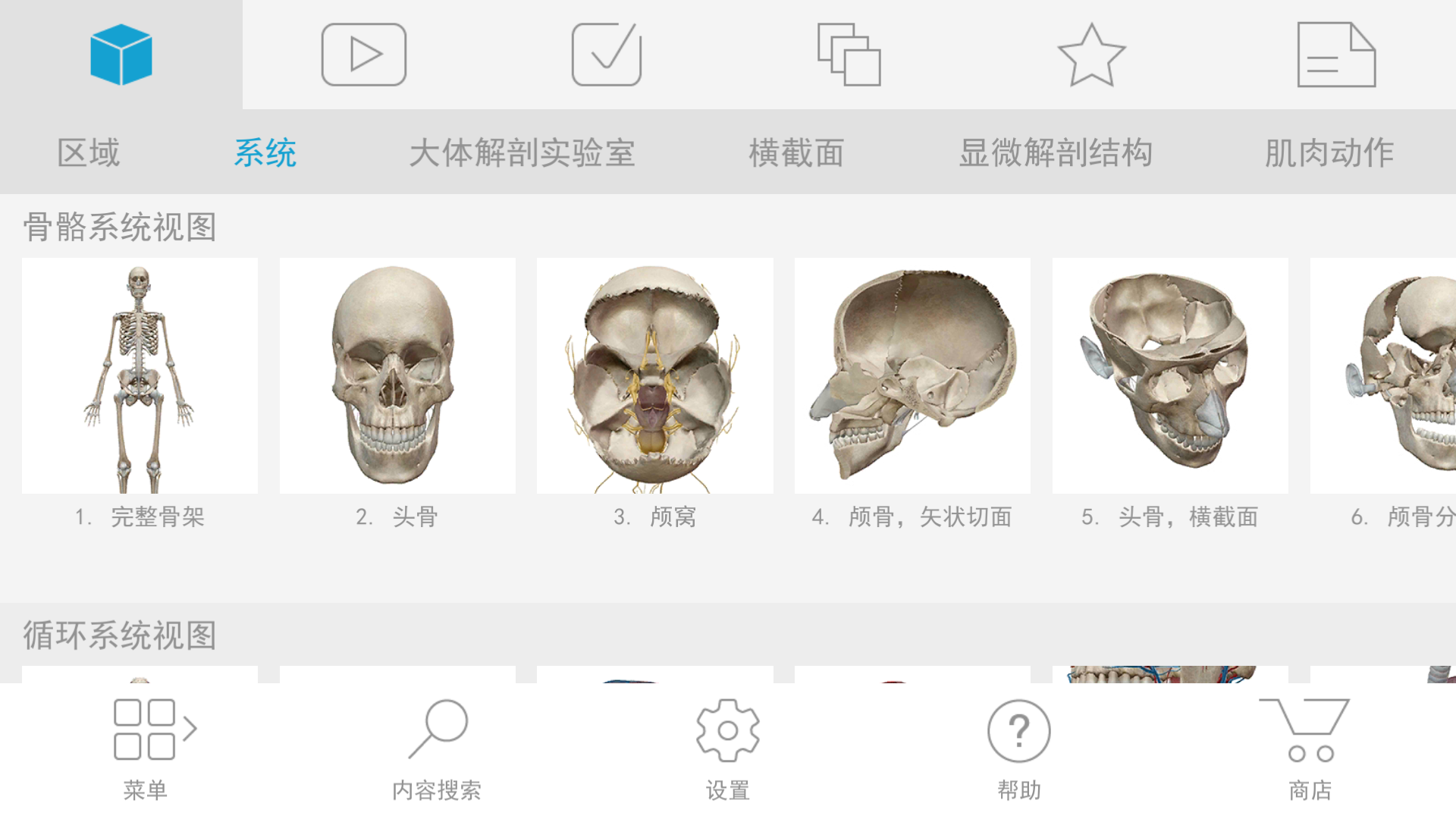 人体解刨学图谱 V2019直装/破解