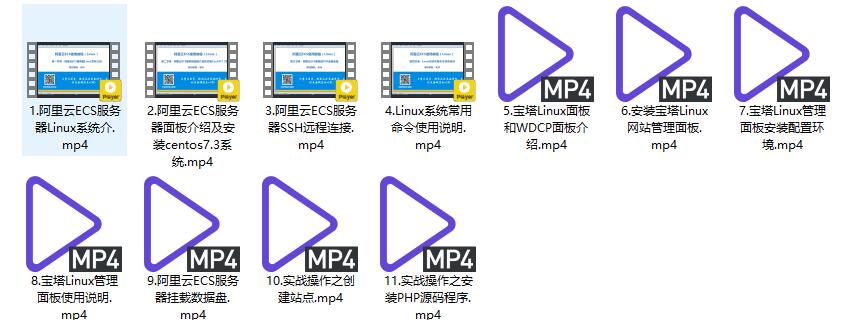 服务器Linux宝塔安装视频教程【263M】