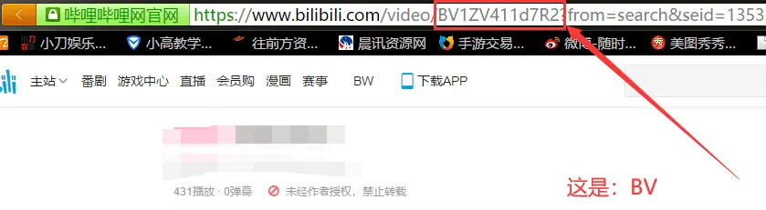 b站4K视频下载-批量下载-哔哩哔哩下载-绿色版