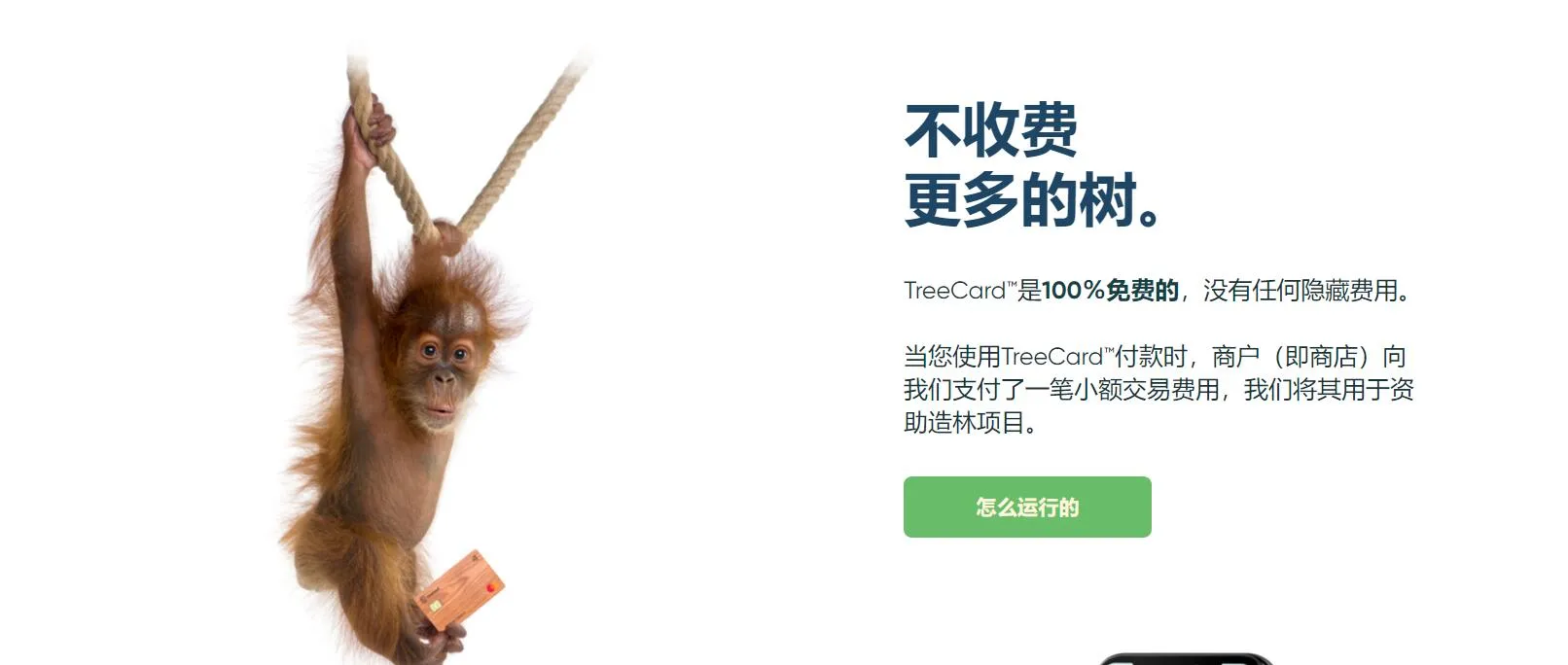 免费申请一张Mastercard 木质借记卡 无费 又收藏意义