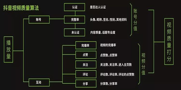 抖音运营热门涨粉详细教程