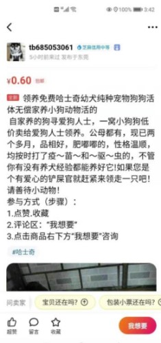 如何通过闲鱼引流微信成交精准锁定宠物粉!