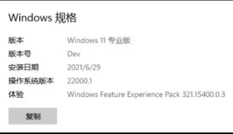 Windows 11 操作系统预览版 64 位