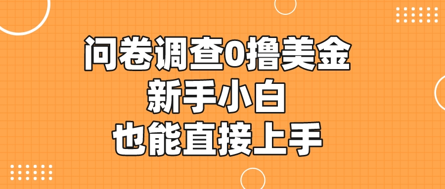 国内可做的国外问卷调查，0撸美金，新手小白也能直接上手