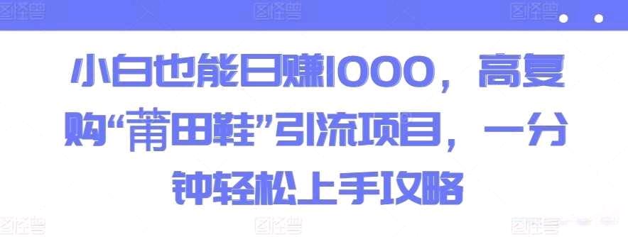 小白也能日赚1000，高复购“莆田鞋”引流项目，一分钟轻松上手攻略