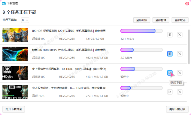 B站视频下载器 Bili23-Downloader v1.55.0 新春版，支持自动高音画质