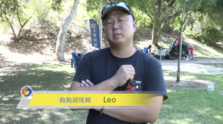 宠物训练-训狗教程Dog Training